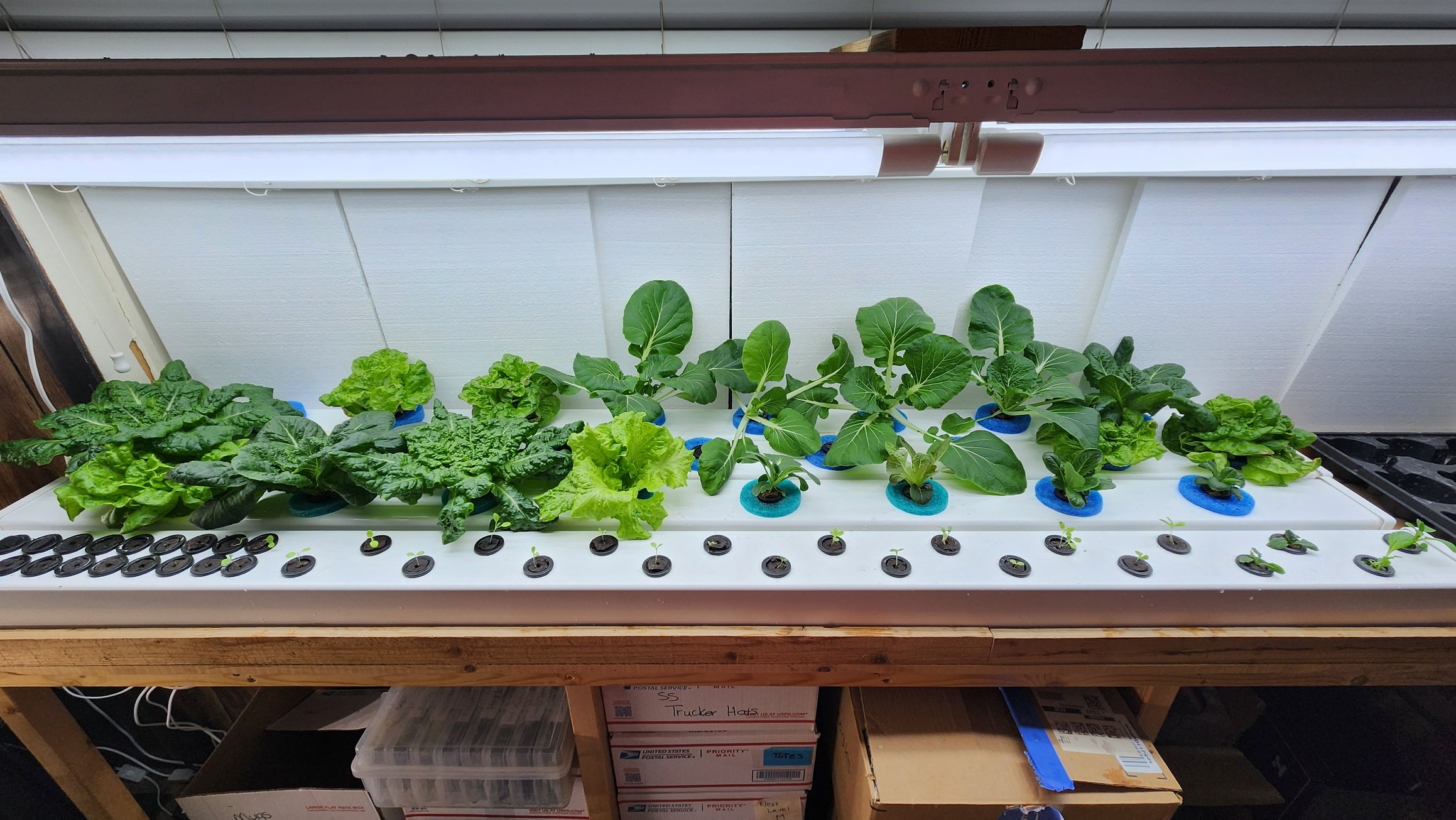 https://www.sunsetsanctuary.farm/stands/1/photos/photo10.jpg
