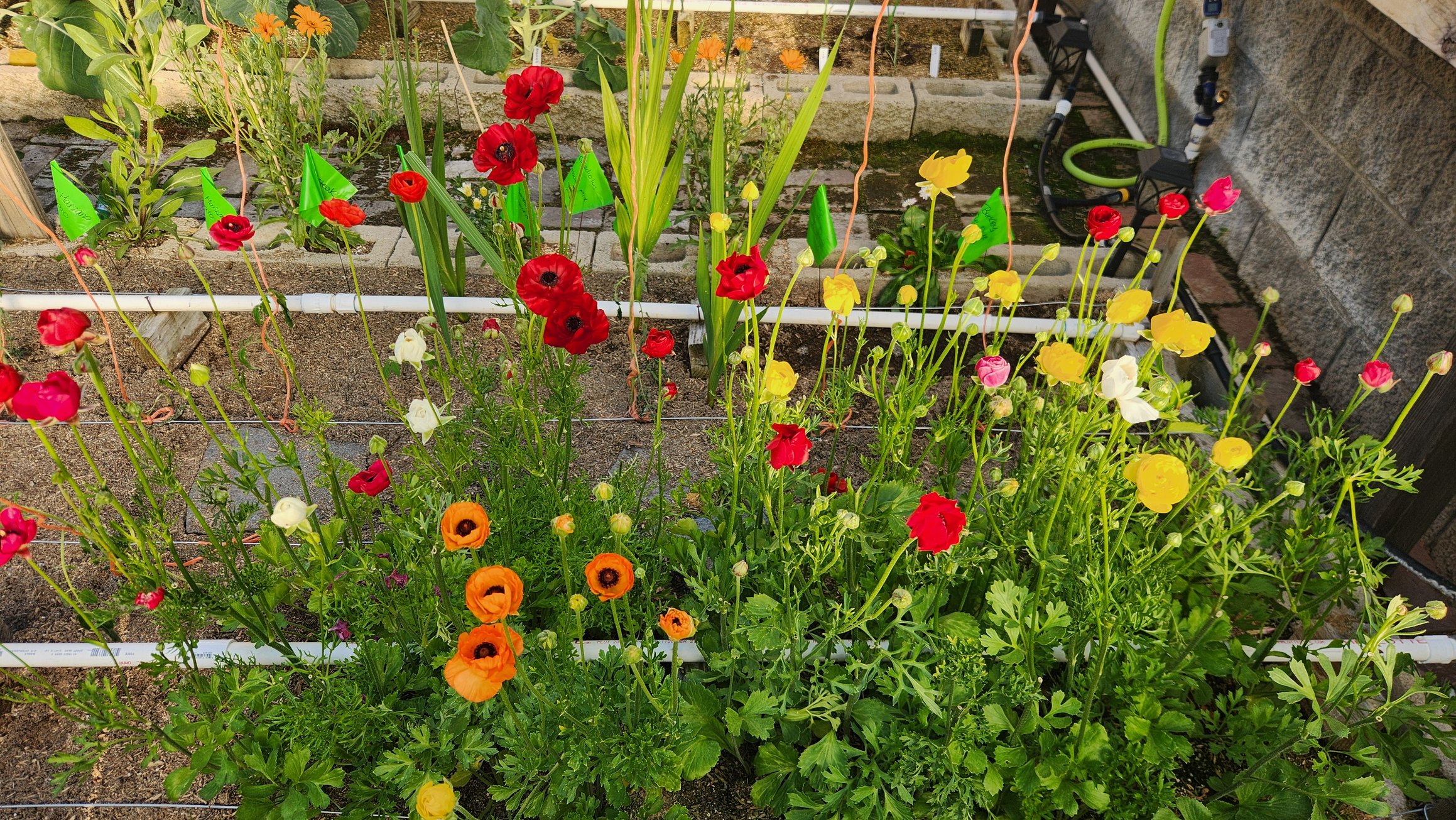 https://www.sunsetsanctuary.farm/stands/1/photos/photo6.jpg